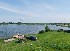 Окрестности поселка Львовские озера